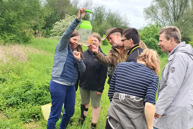 Gruppe in der Natur